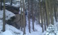 /album/fotogalerie-3-zavod-8-12-2012/imag0957-jpg/