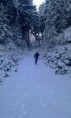 /album/fotogalerie-3-zavod-8-12-2012/imag0959-jpg/